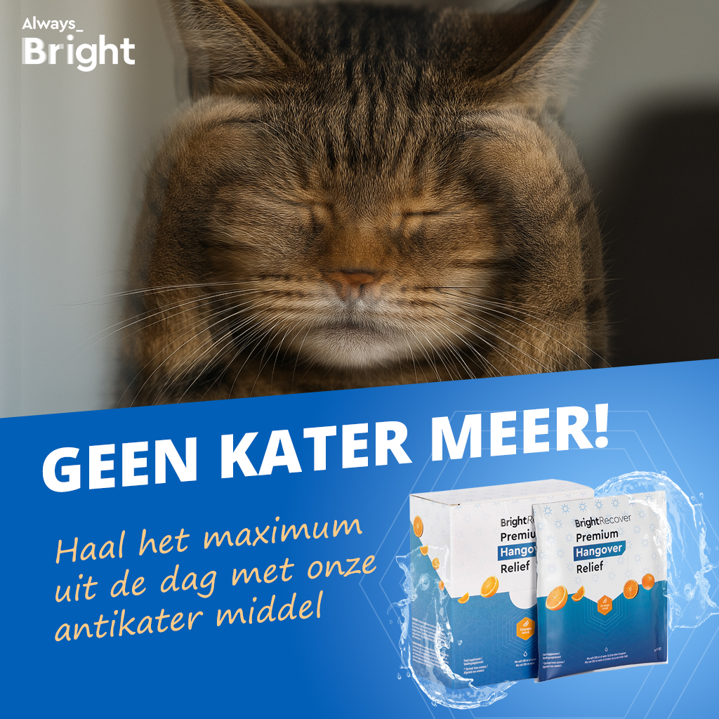 Skyscraper banner 160x600